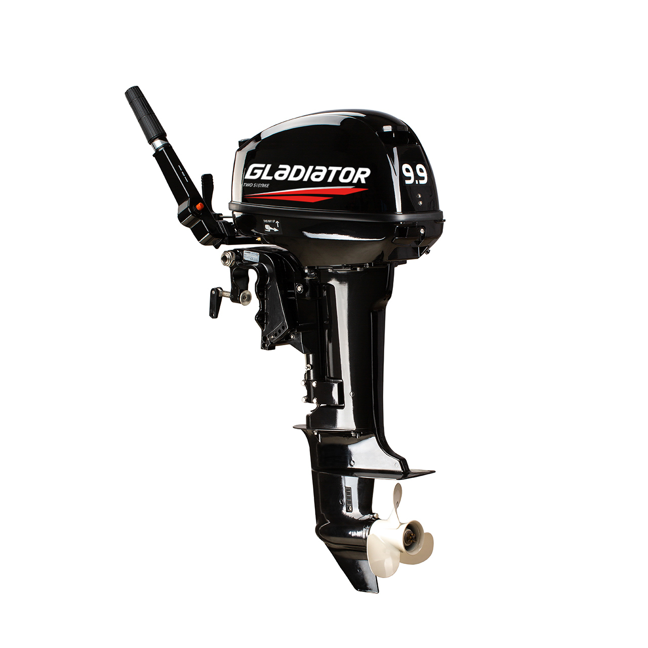 ЛОДОЧНЫЙ МОТОР GLADIATOR G9.9FHS в Альметьевске