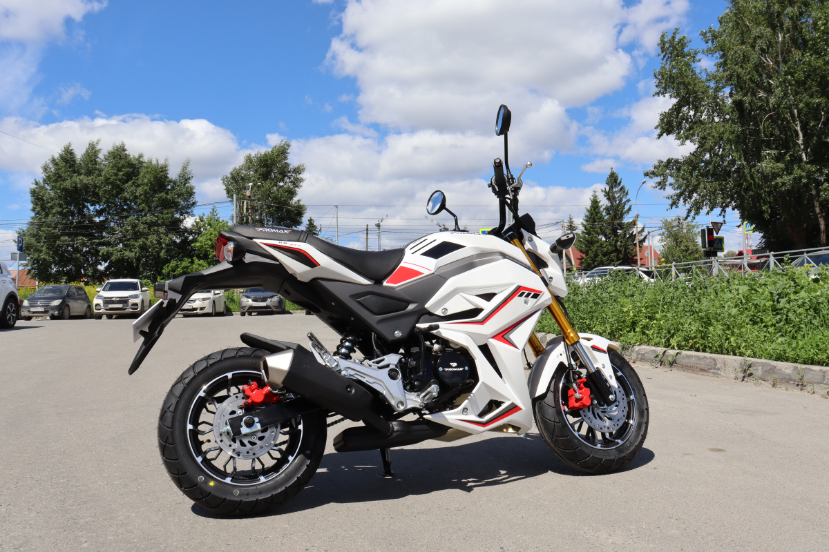 Мотоцикл PROMAX STRYKER 200(49) 2.0 в Альметьевске