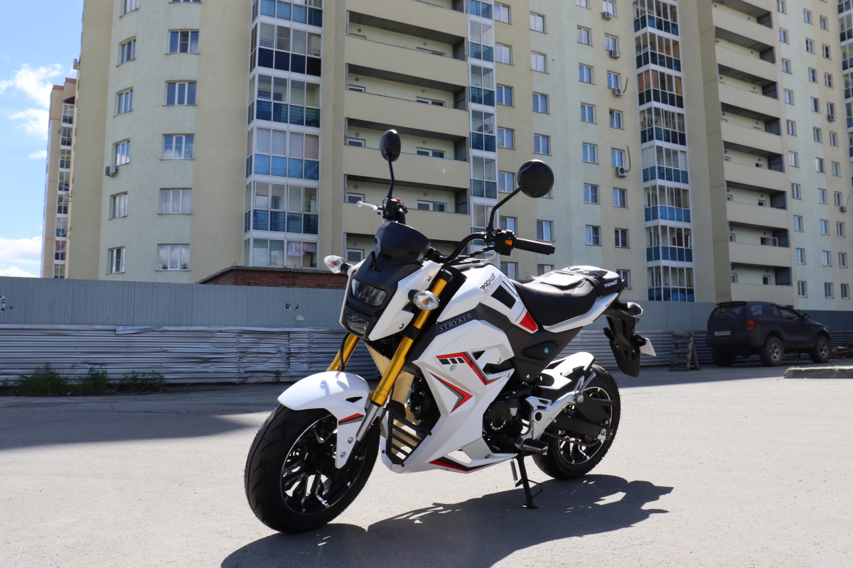 Мотоцикл PROMAX STRYKER 200(49) 2.0 в Альметьевске