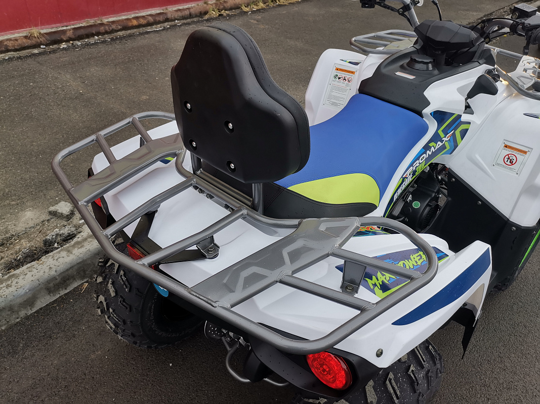 Квадроцикл PROMAX RENEGADE 280 LUX (2025) в Альметьевске