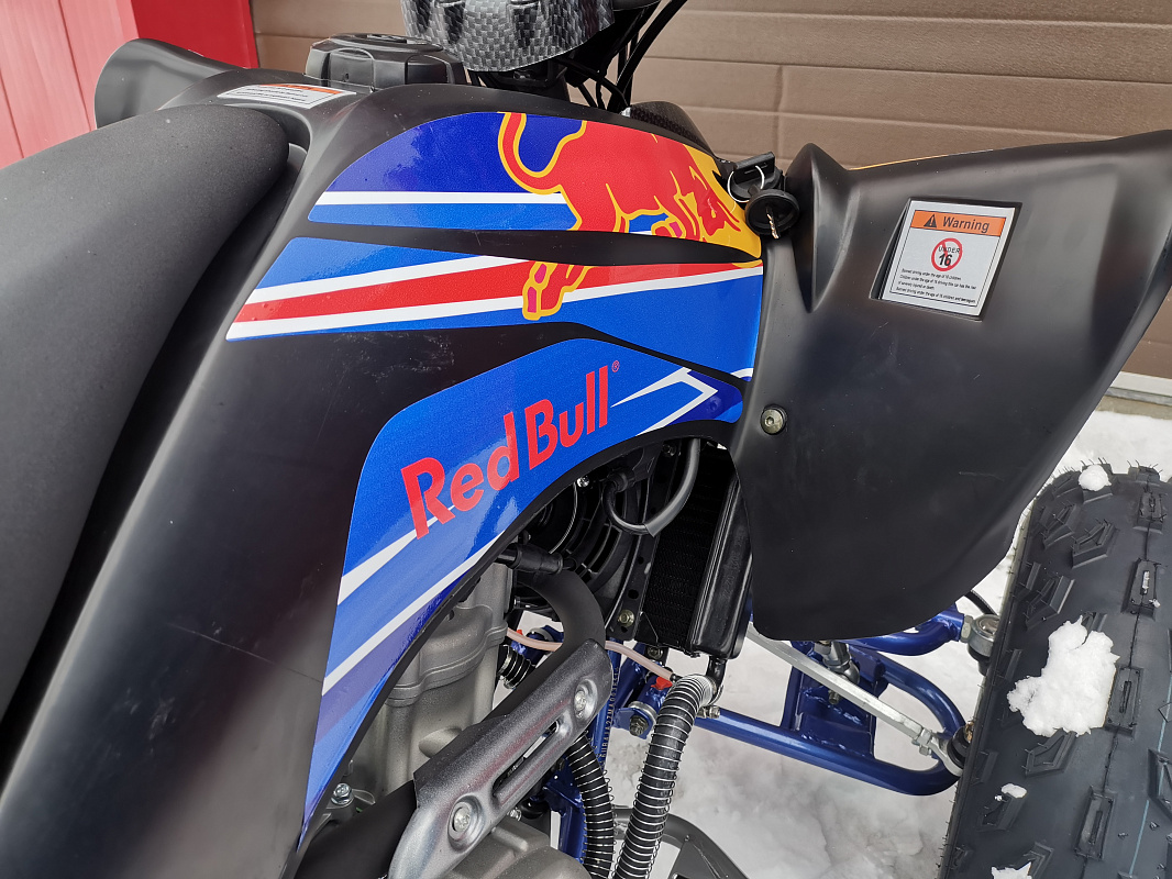 Квадроцикл PROMAX RAPTOR 300 NEW RedBull в Альметьевске