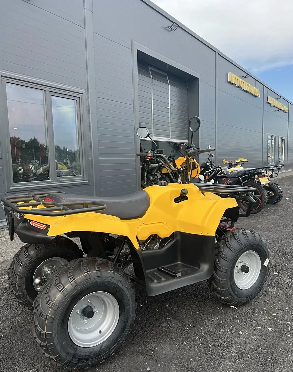 КВАДРОЦИКЛ IRBIS ATV 250  в Альметьевске
