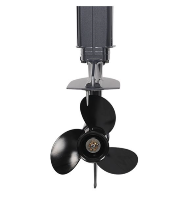 Лодочный мотор ALLFA CG Т40FW S в Альметьевске