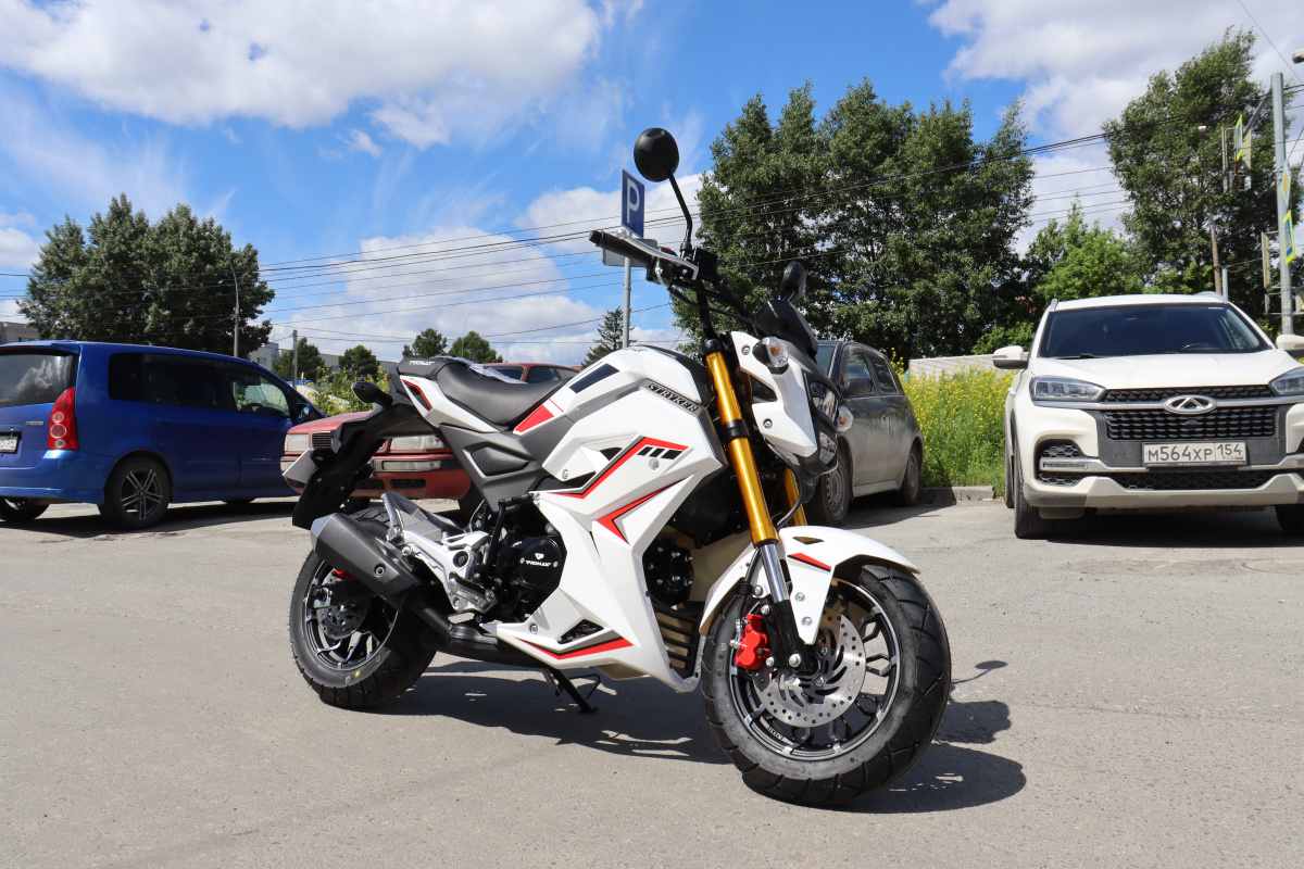 Мотоцикл PROMAX STRYKER 200(49) 2.0 в Альметьевске