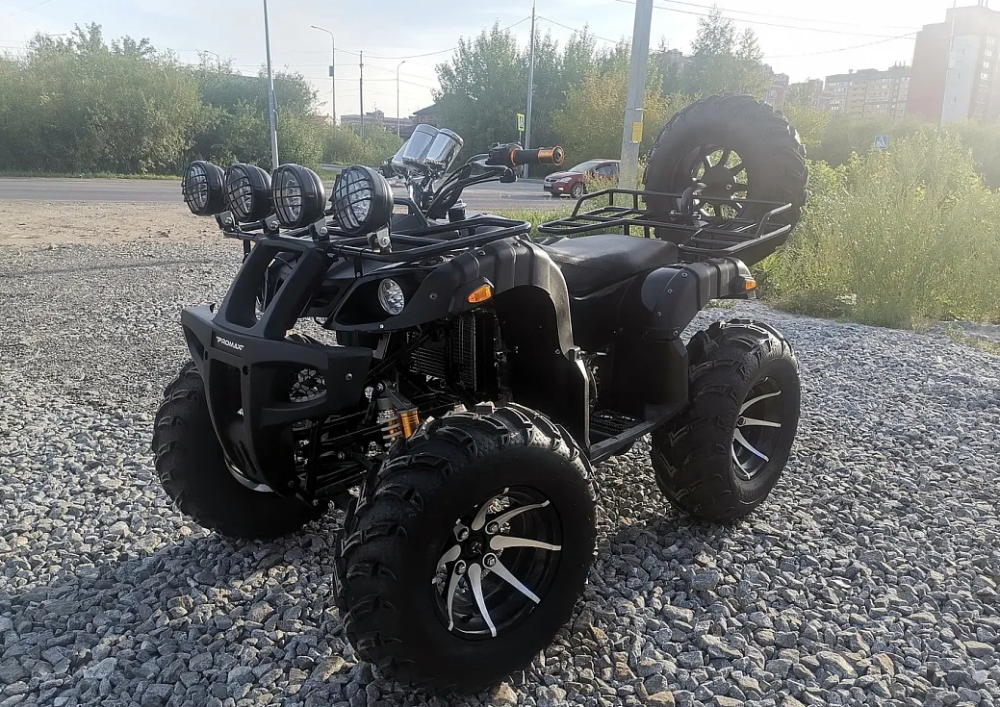Квадроцикл PROMAX LEO 300 Max (кардан) в Альметьевске
