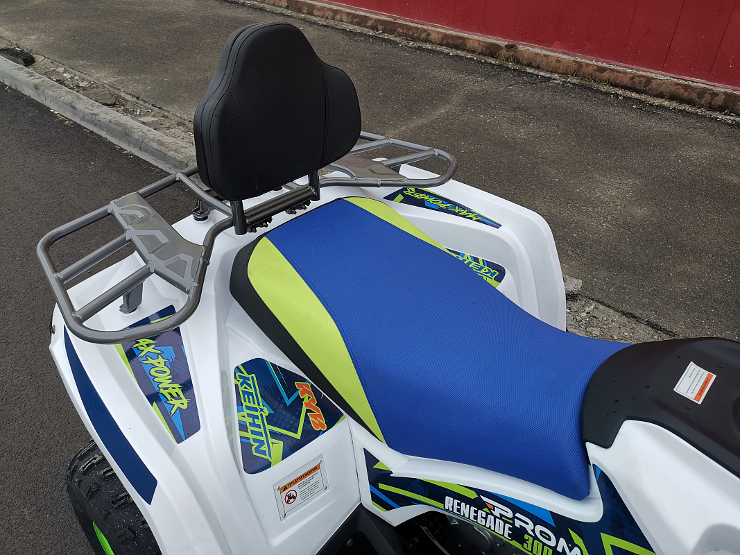 Квадроцикл PROMAX RENEGADE 280 LUX (2025) в Альметьевске