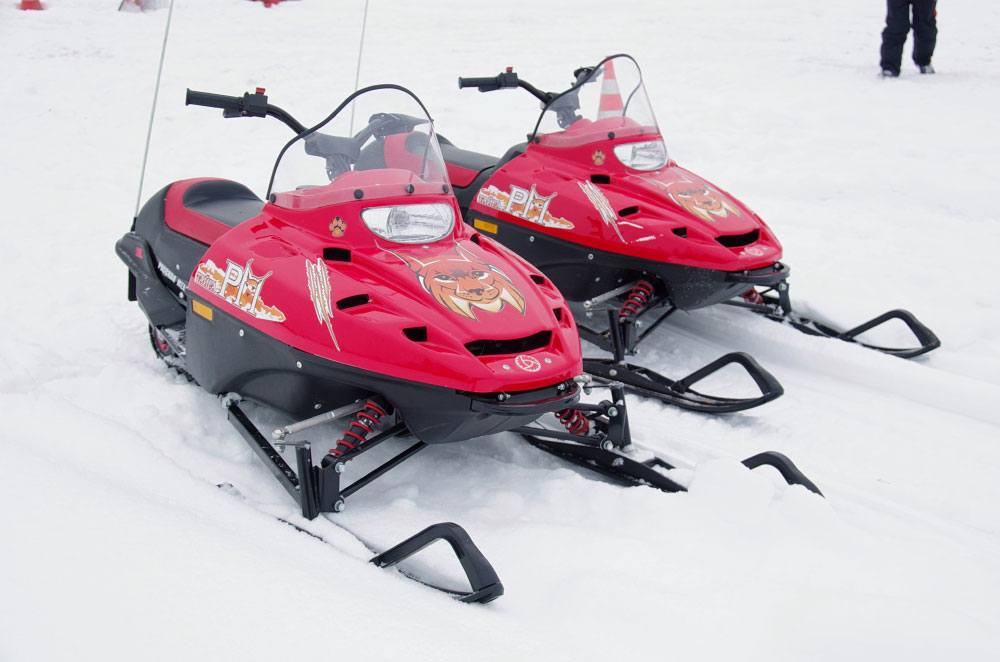 Снегоход РМ ТАЙГА РЫСЬ в Альметьевске