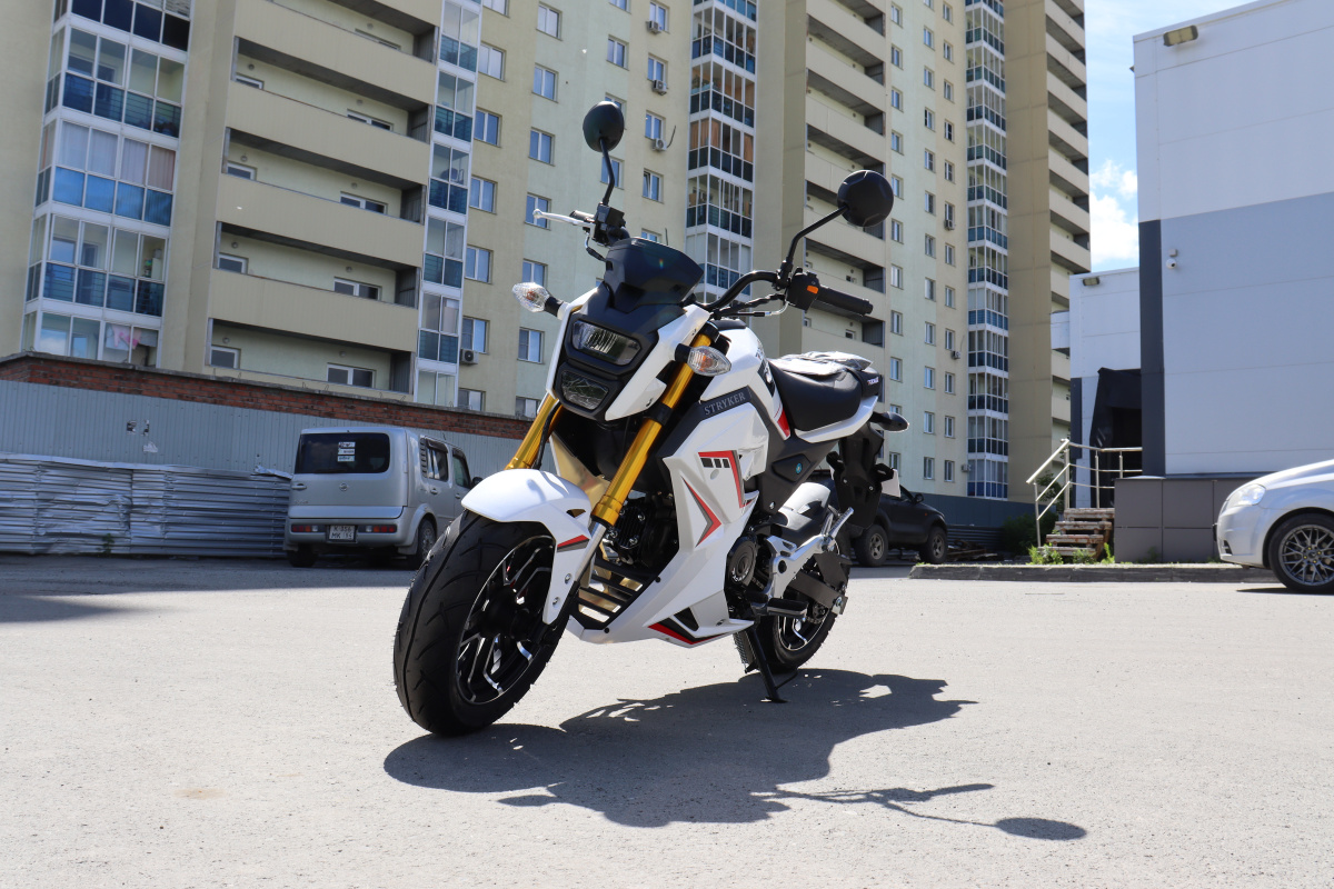 Мотоцикл PROMAX STRYKER 200(49) 2.0 в Альметьевске