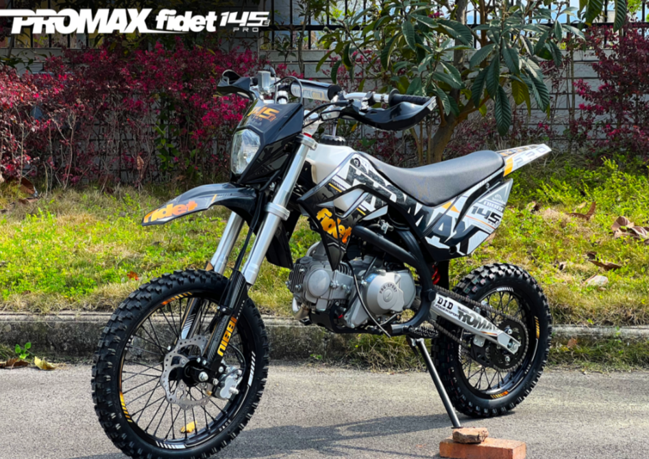 Мотоцикл (питбайк) PROMAX FIDET (ФАЙДЕТ) 145E PRO 17/14 в Альметьевске