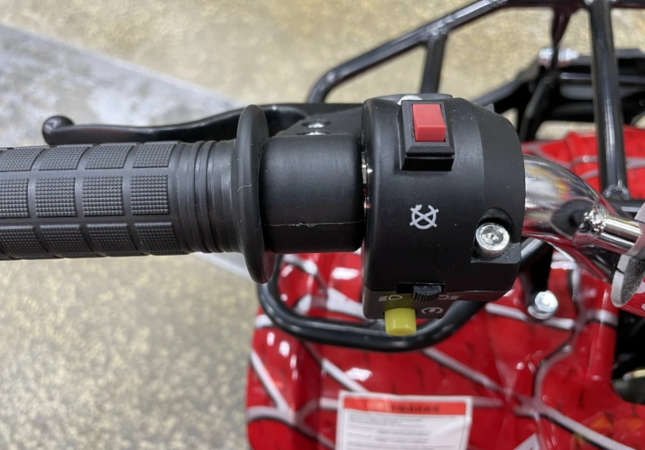 Квадроцикл PROMAX ATV MINI 2T 70CC р/с в Альметьевске