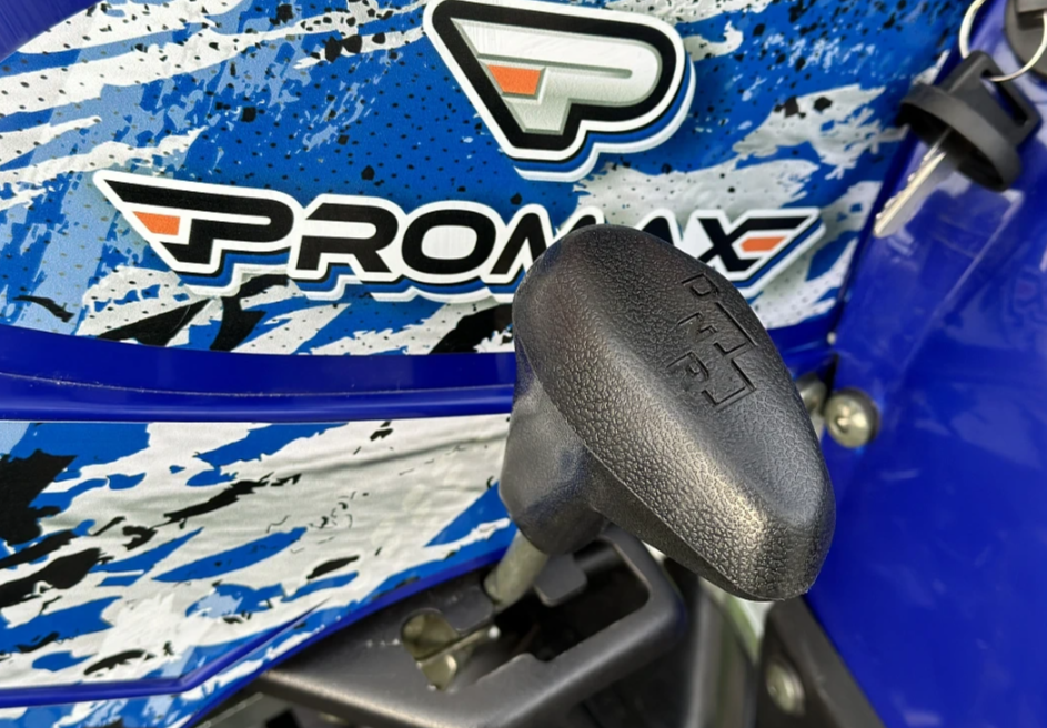  Квадроцикл PROMAX ATV 250 MAX (2025) в Альметьевске