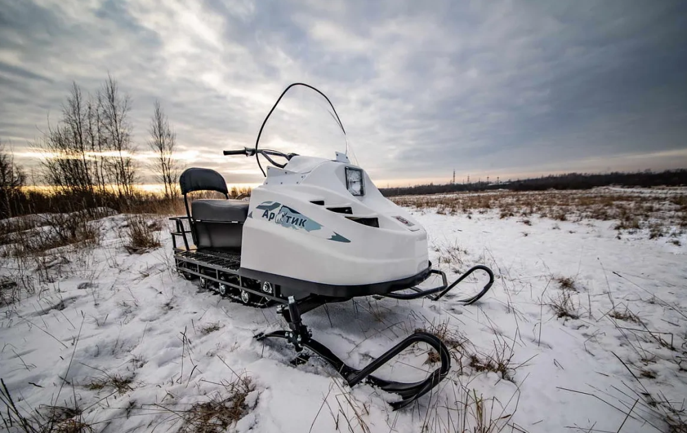 Снегоход БТС АРТИК 4Т /ЛОНГ/ 20 л.с. э/зап, реверс, тормоз в Альметьевске