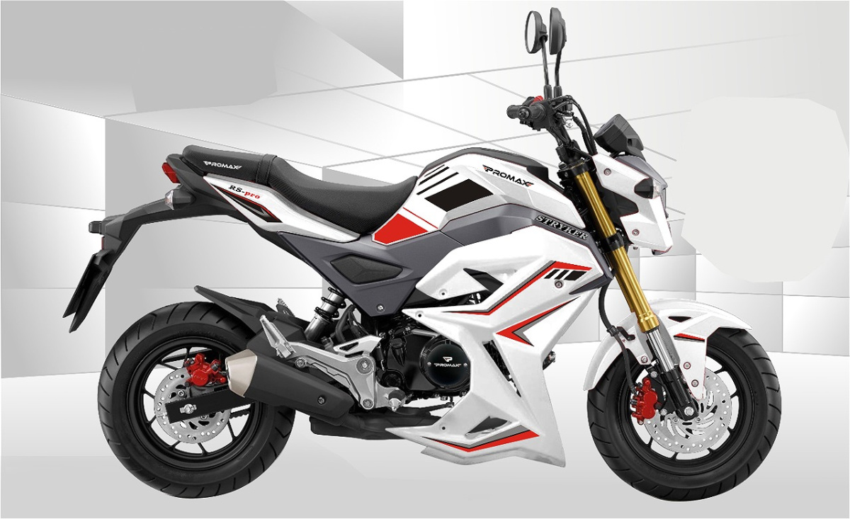 Мотоцикл PROMAX STRYKER 200(49) 2.0 в Альметьевске