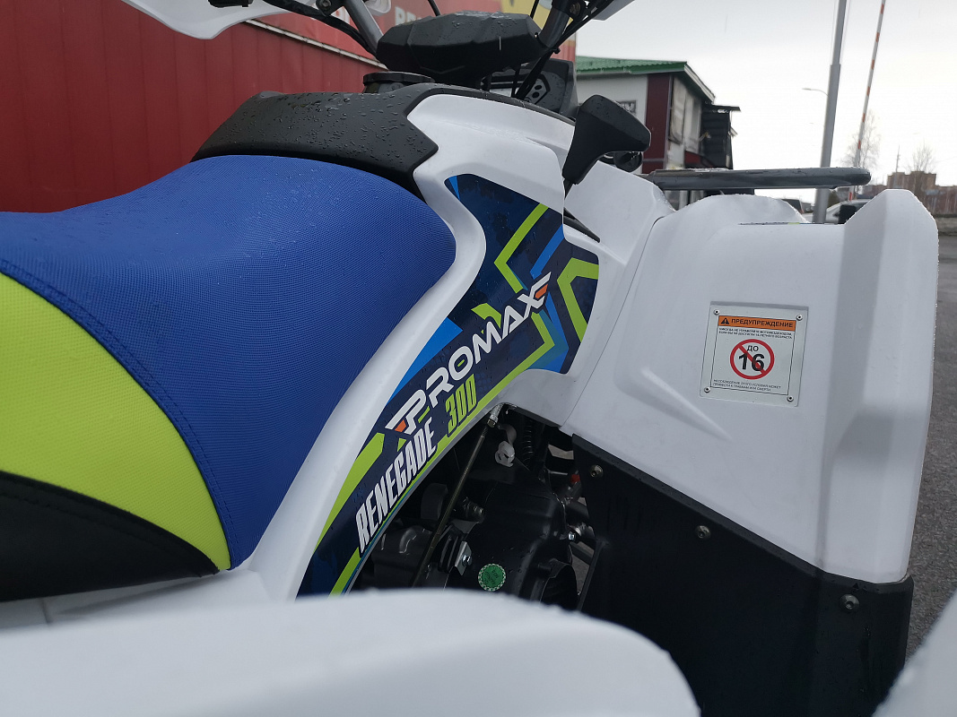 Квадроцикл PROMAX RENEGADE 280 LUX (2025) в Альметьевске