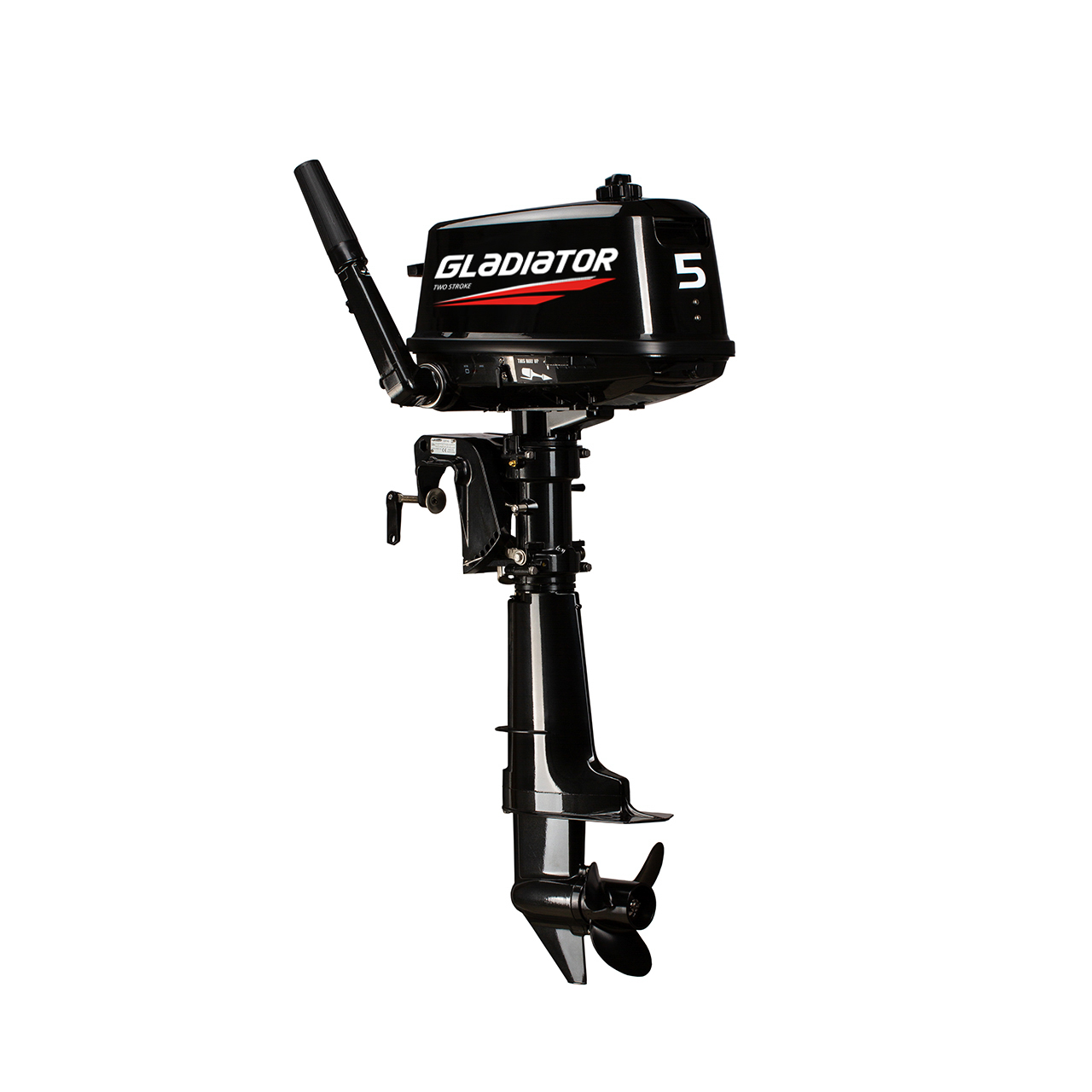 ЛОДОЧНЫЙ МОТОР GLADIATOR G5FHS в Альметьевске