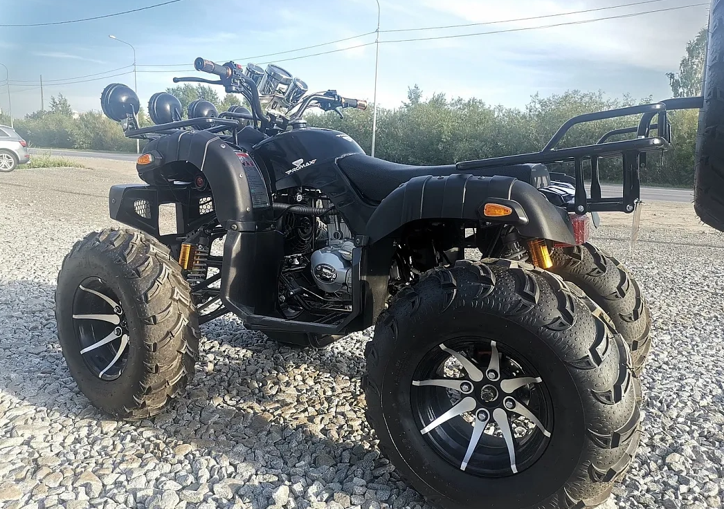 Квадроцикл PROMAX LEO 300 Max (кардан) в Альметьевске