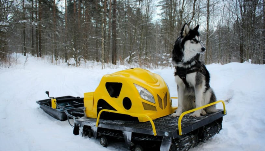 Мотобуксировщик LEBEDEV MOTORS ВОЛКОДАВ POWER V13 в Альметьевске