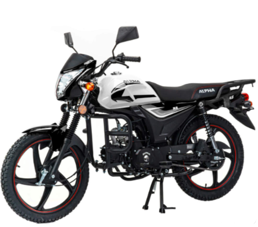 Мопед MOTOLAND (МОТОЛЕНД) Альфа RS 11 (LM48-B) в Альметьевске