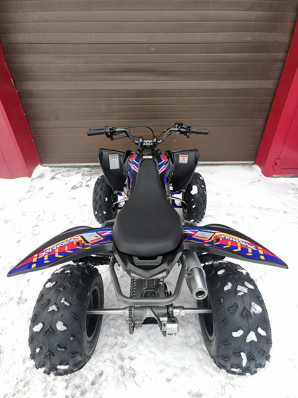Квадроцикл PROMAX RAPTOR 300 NEW RedBull в Альметьевске