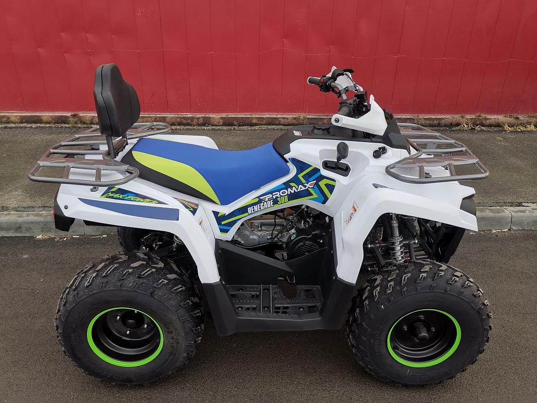 Квадроцикл PROMAX RENEGADE 280 LUX (2025) в Альметьевске