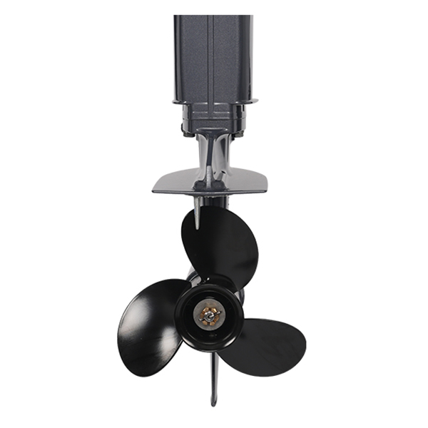 ЛОДОЧНЫЙ МОТОР ALLFA CG Т20 в Альметьевске