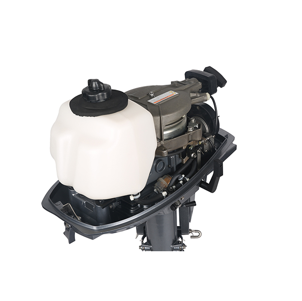 ЛОДОЧНЫЙ МОТОР ALLFA CG T5 в Альметьевске