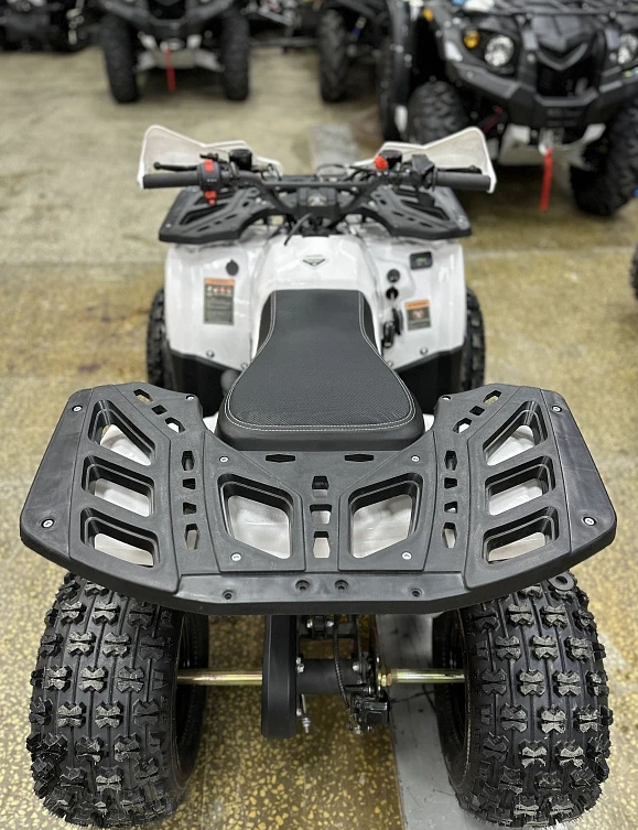 Квадроцикл PROMAX WILD 2.0 190 в Альметьевске