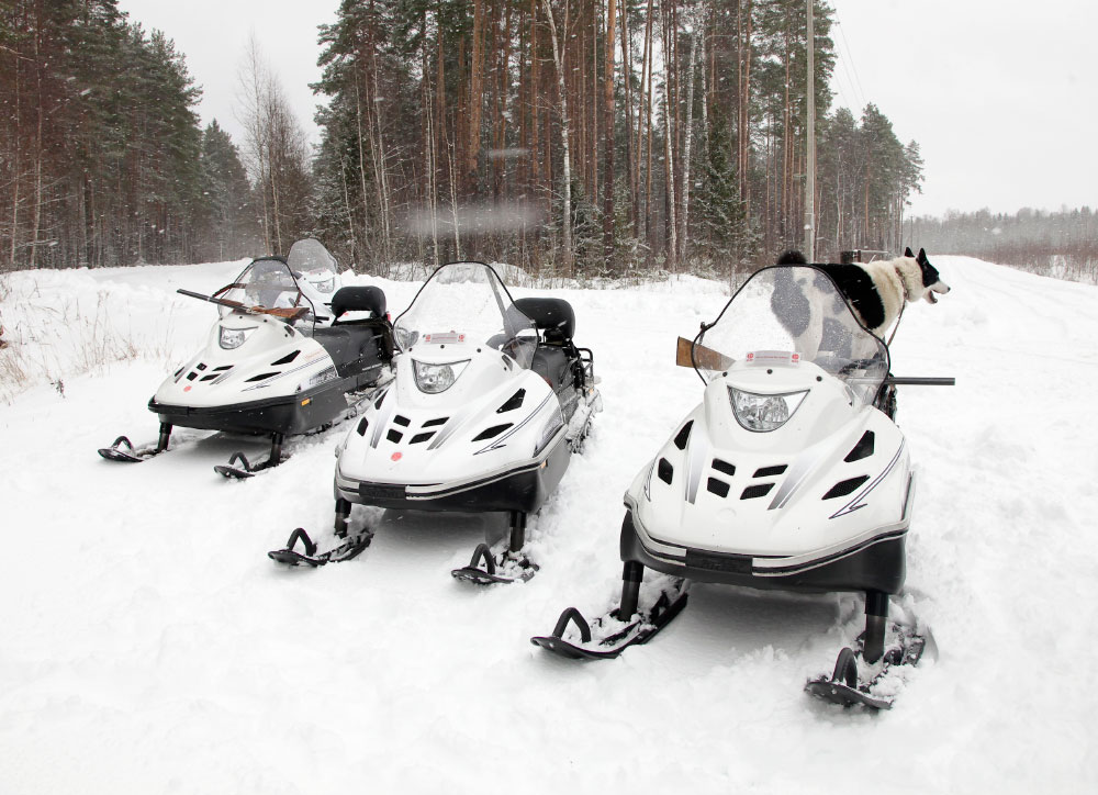 СНЕГОХОД РМ ТАЙГА ВАРЯГ 550 V в Альметьевске