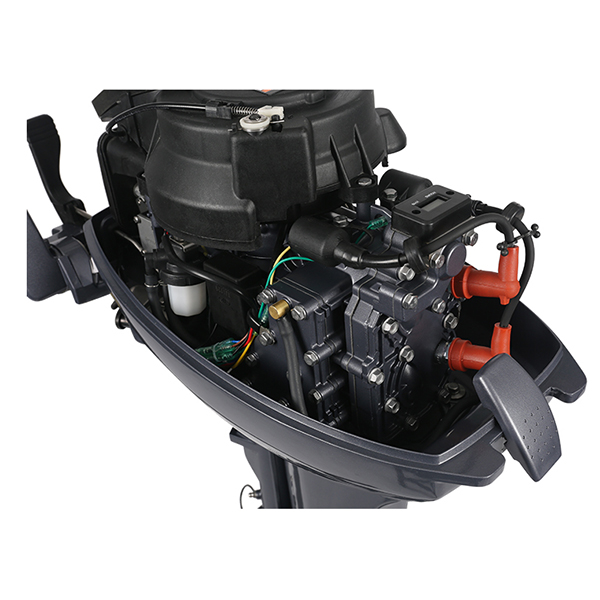 ЛОДОЧНЫЙ МОТОР ALLFA CG Т9,9 Limit в Альметьевске