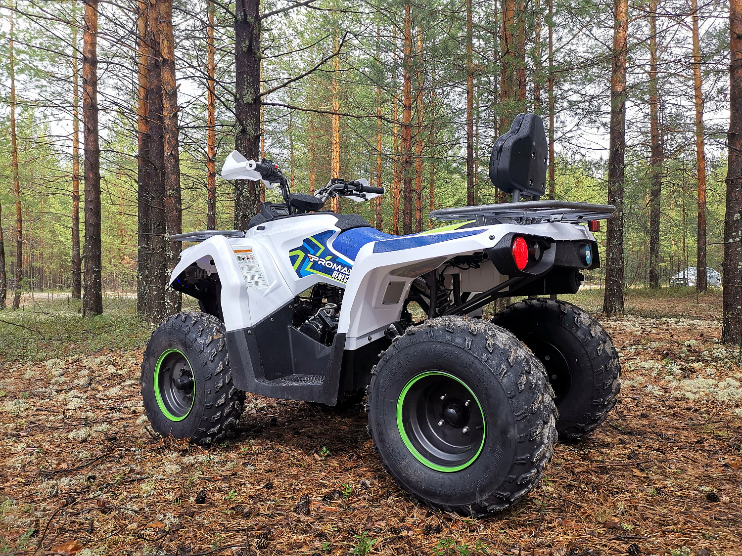 Квадроцикл PROMAX RENEGADE 280 (2025) в Альметьевске