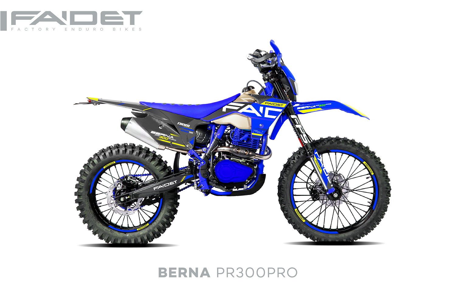 Кроссовый мотоцикл FAIDET BERNA PR300-PRO FPS в Альметьевске