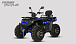 Квадроцикл PROMAX TAURUS 300 MAX-PRO LONG в Альметьевске