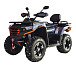 Квадроцикл MOTOLAND (МОТОЛЕНД) 300 MAX X в Альметьевске