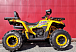 Квадроцикл PROMAX STORM 280 LUX в Альметьевске