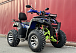  Квадроцикл PROMAX ATV 250 MAX (2025) в Альметьевске