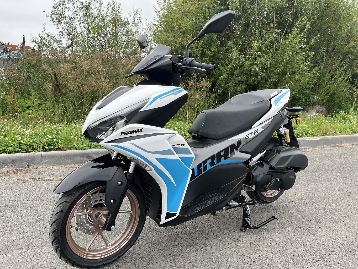 Скутер PROMAX TURAN 250 (49) в Альметьевске