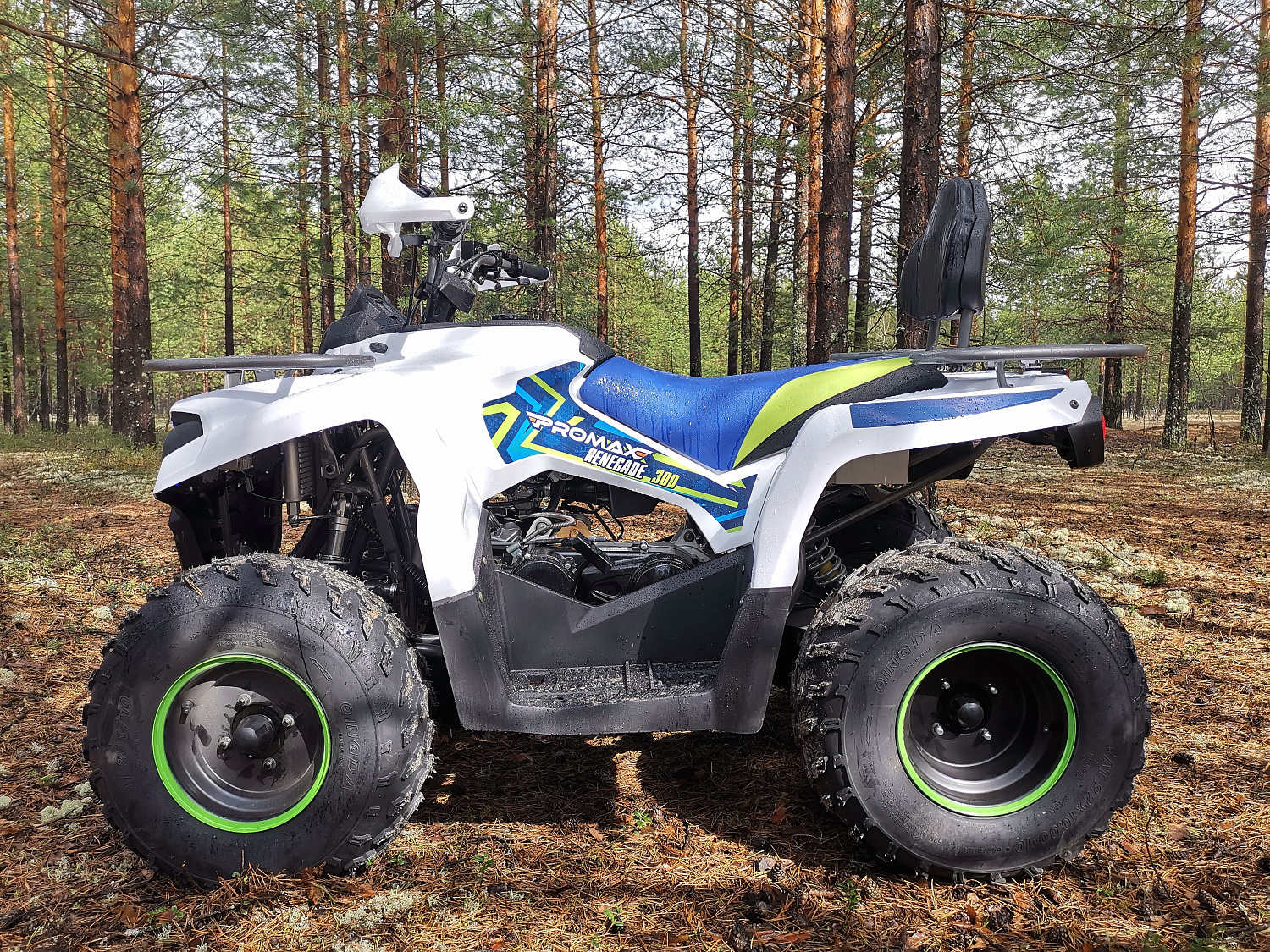 Квадроцикл PROMAX RENEGADE 280 (2025) в Альметьевске