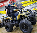 Квадроцикл PROMAX ATV 250 (2025) в Альметьевске