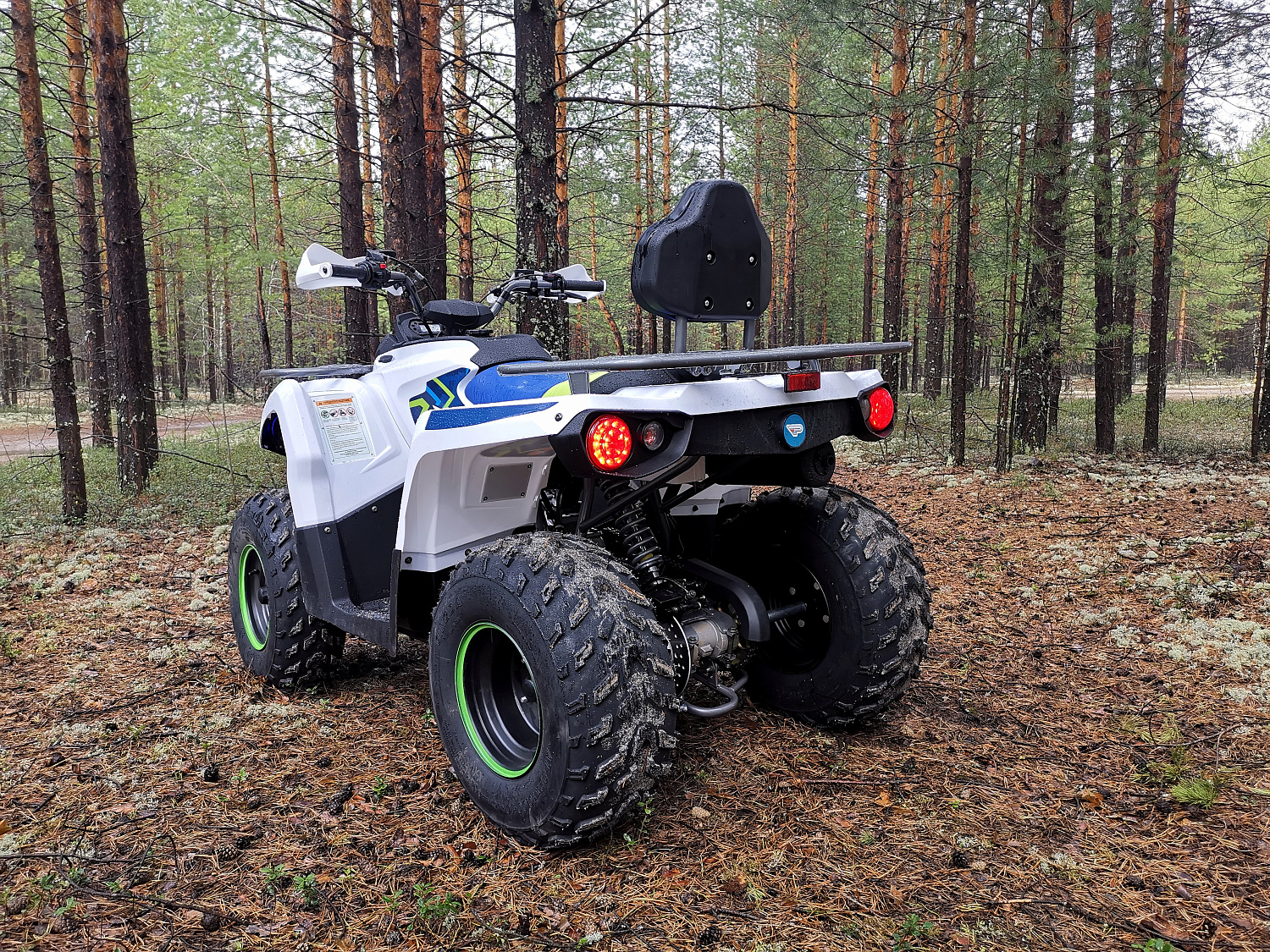 Квадроцикл PROMAX RENEGADE 280 (2025) в Альметьевске