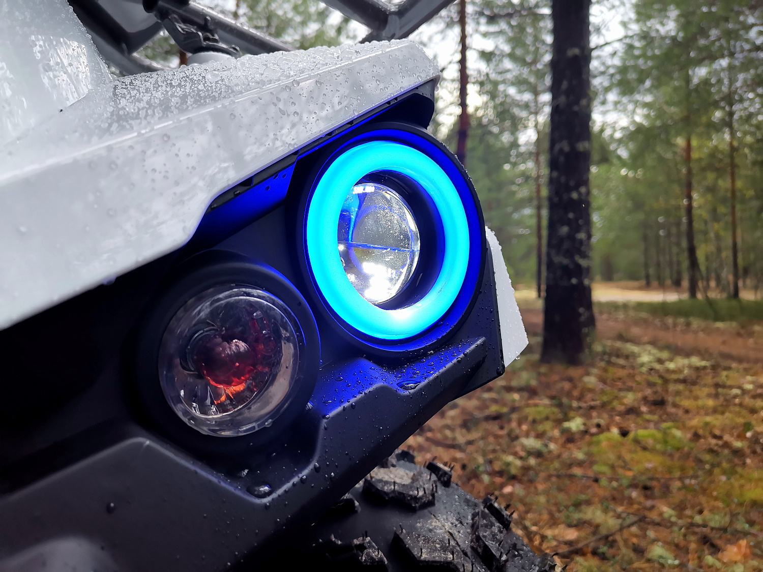 Квадроцикл PROMAX RENEGADE 280 (2025) в Альметьевске