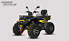 Квадроцикл PROMAX TAURUS 300 MAX-PRO LONG в Альметьевске